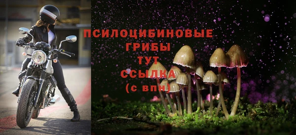 марки lsd Балабаново