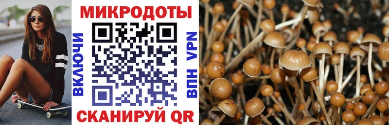 Галлюциногенные грибы Psilocybe Унеча